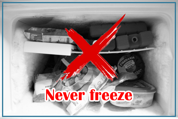 foods you shouldn't freeze, freezing tips, fresh food storage, avoid freezing, freezer tips, food preservation, fresh produce, dairy products, cooked pasta, fried foods, soft herbs, avocados, cheese, raw dough, sauces, jellies, custards